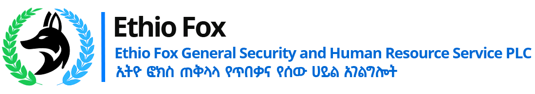 Ethio Fox Logo